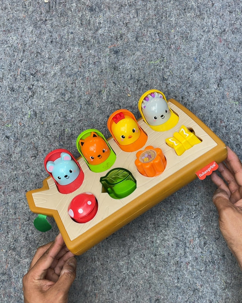 Fisher-Price Pop-Up Toy