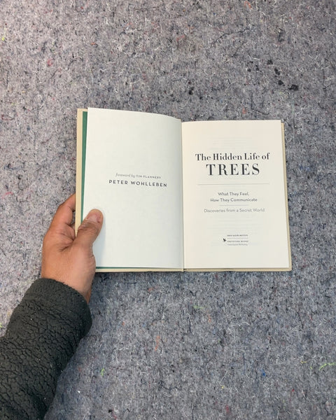 The Hidden Life of Trees by Peter Wohlleben