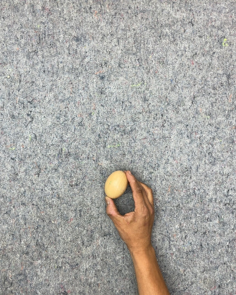 Single Wood Egg