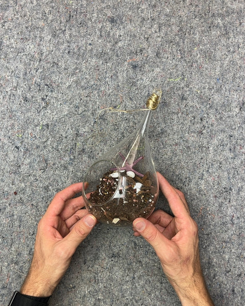 Glass Terrarium with Shells and Starfish