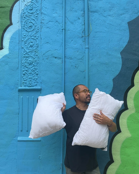 Two Hilton Garden Inn Pillows