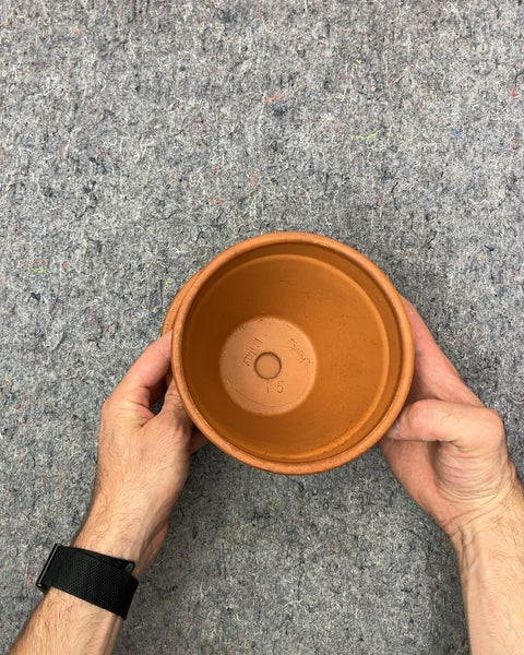 Terracotta Plant Pot with Saucer, 6"