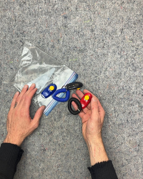 Pet Training Clickers with Wrist Coils