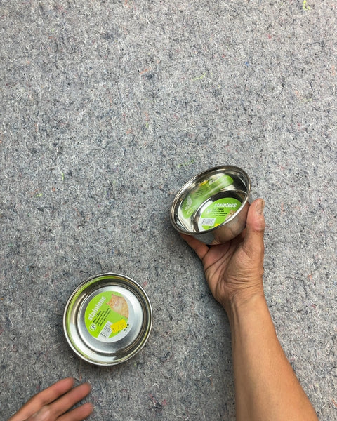 Stainless Steel Pet Bowls, Set of 2