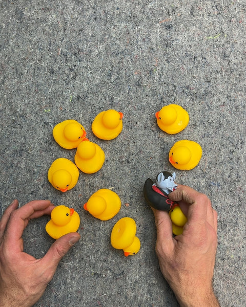 Bunch Of Cute Rubber Duckies And A Vampire One