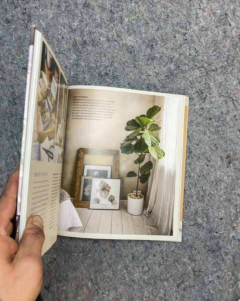Home for the Soul by Sara Bird & Dan Duchars