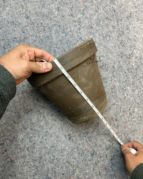 Small-Medium Terracotta Planter, 6"