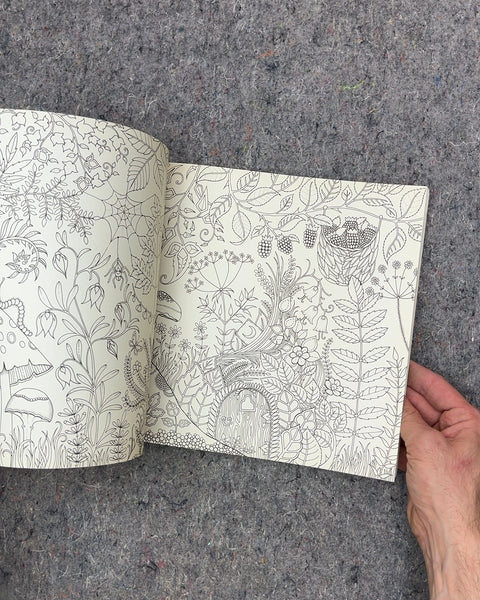 Enchanted Forest An Ink Quest & Coloring Book by Johanna Basford