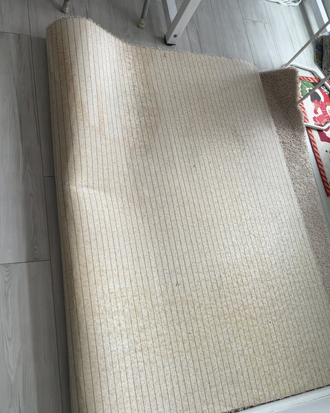Neutral Area Rug, 100x60”