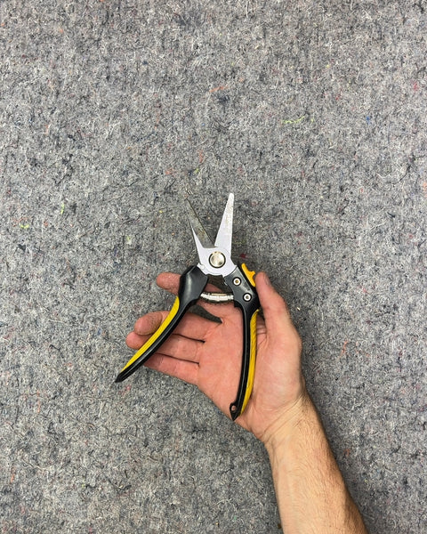 Yellow and Black Pruning Shears