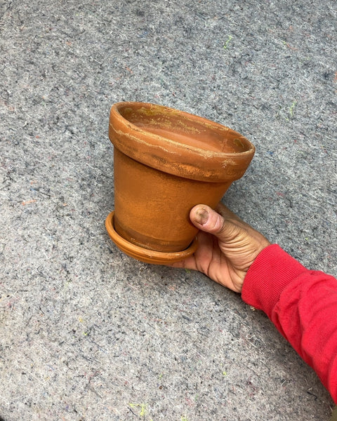 Terracotta Plant Pot with Saucer