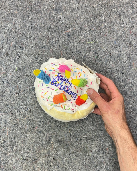 Brand New Frisco Plush Birthday Cake Pet Toy with Squeaker