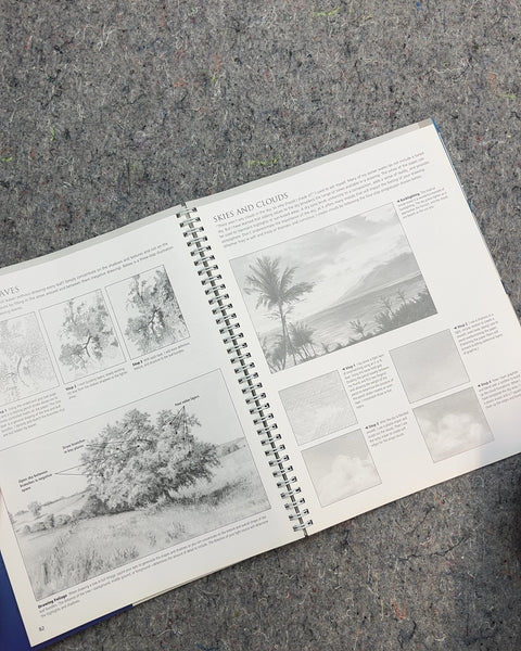 Step-by-Step Studio: Drawing Lifelike Subjects Guide
