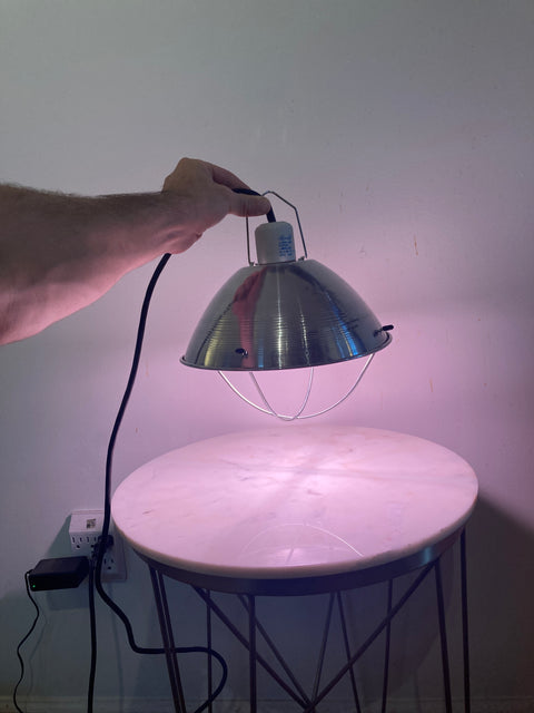 Metal Hanging Lamp With Pinkish Bulb To Grow Plants