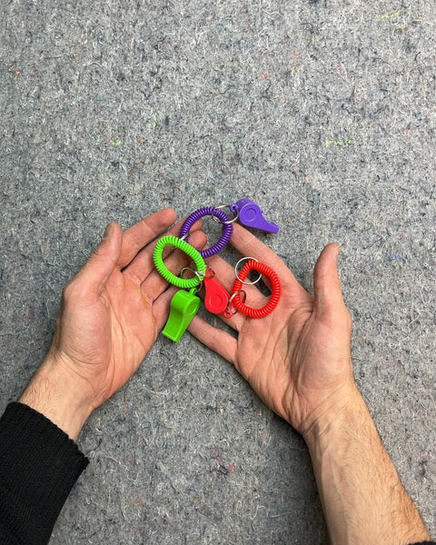 Colorful Whistle Keychains