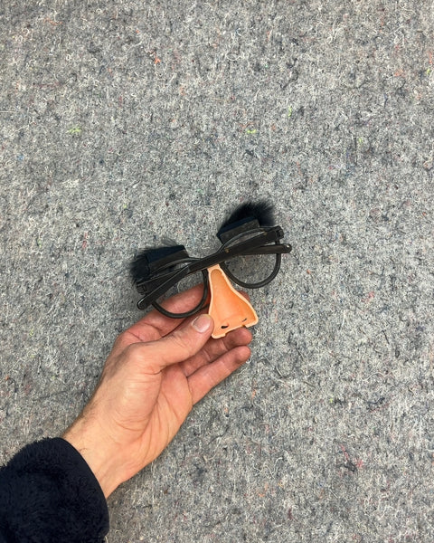 Disguise Glasses with Nose and Eyebrows