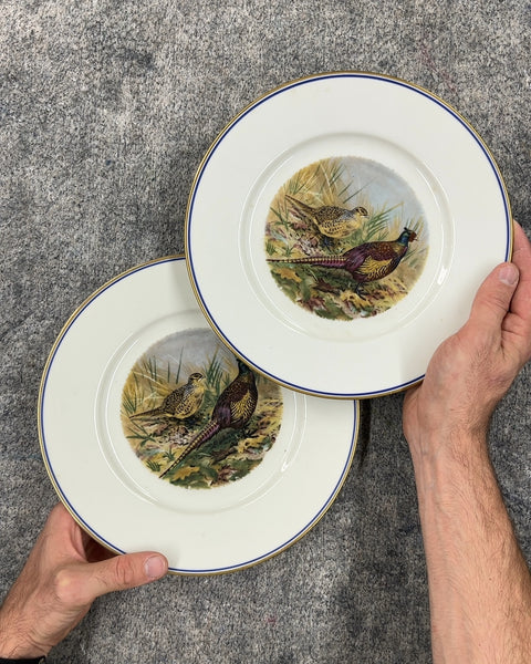 Vintage Pall Mall Ware Hunting Bird Plates