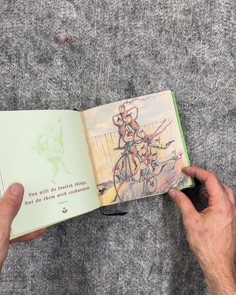 The Little Big Book of Life