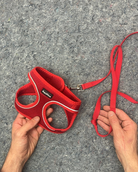 PetiFine Red Mesh Dog Harness with Leash, Size S