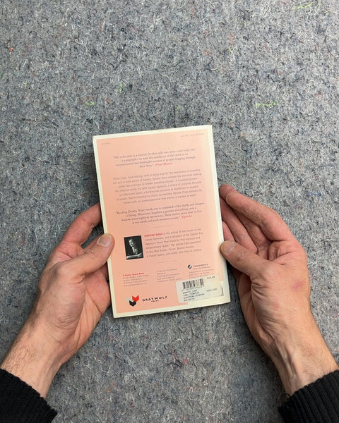 Karate Chop Stories by Dorthe Nors