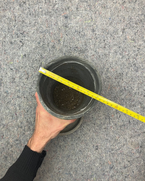 Concrete Planter with Saucer, W6"