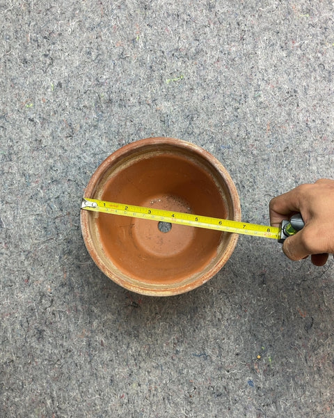 Terracotta Plant Pot, 6x7"