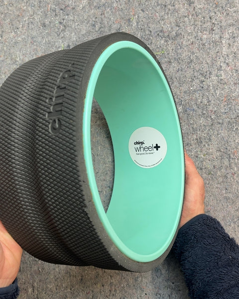 Chirp Wheel Back Roller