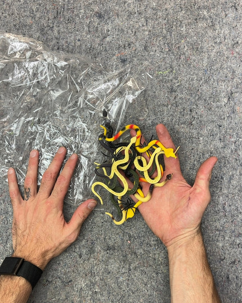 Assorted Rubber Snakes and Spiders Toy Set