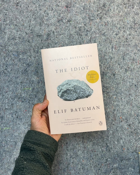 The Idiot by Elif Batuman