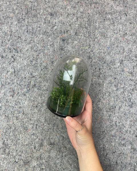 Faux Plastic Plant Terrarium