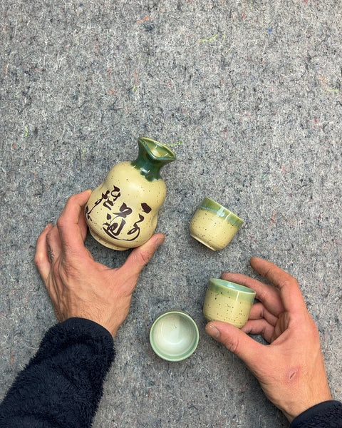 Pretty Ceramic Sake Set