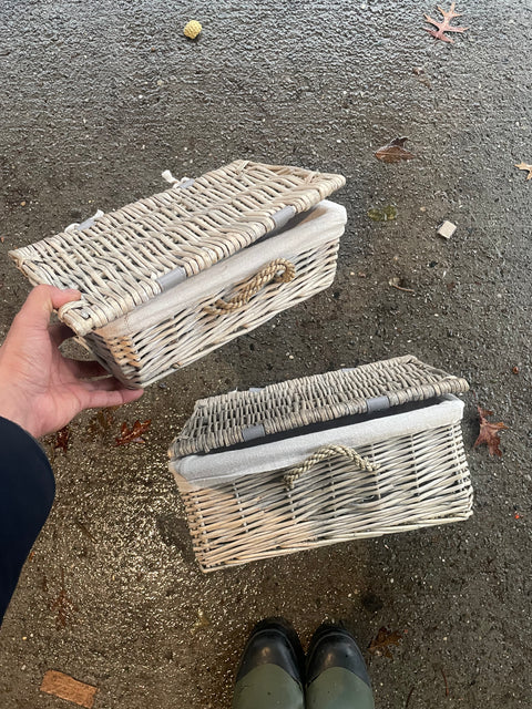 2 Cute Lined Baskets