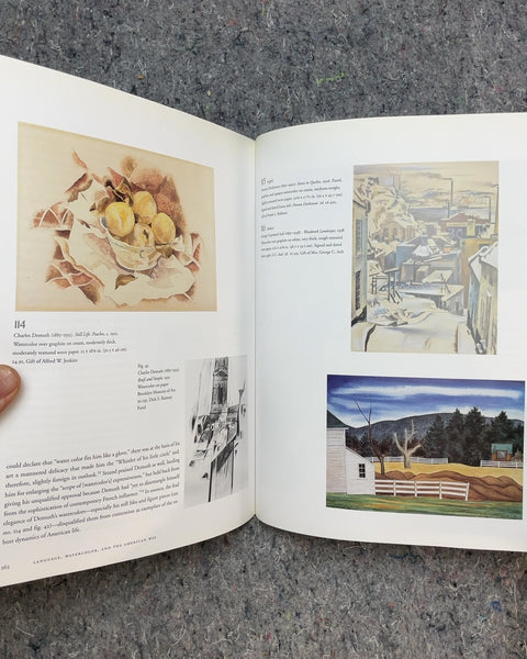 Masters of Color and Light Book