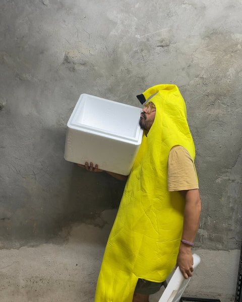 White Foam Cooler