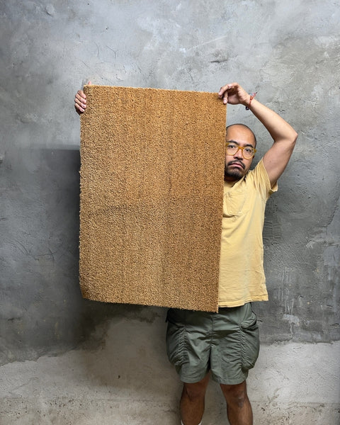 IKEA Trampa Brown Coir Doormat, 24x35"