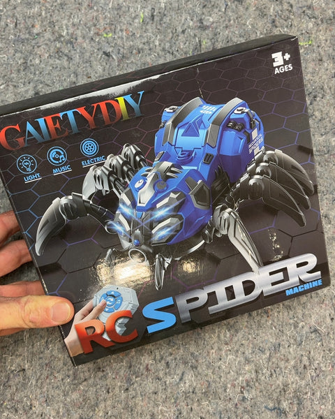 GAIETYDIY Remote Control Spider Robot Toy