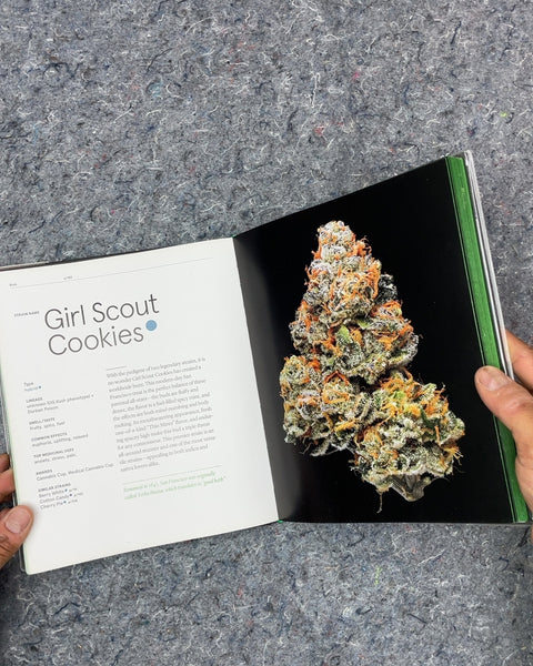 Green: A Field Guide to Marijuana by Dan Michaels and Erik Christiansen