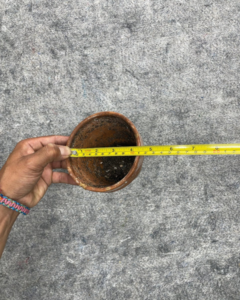 Small Terracotta Plant Pot, 4.5"