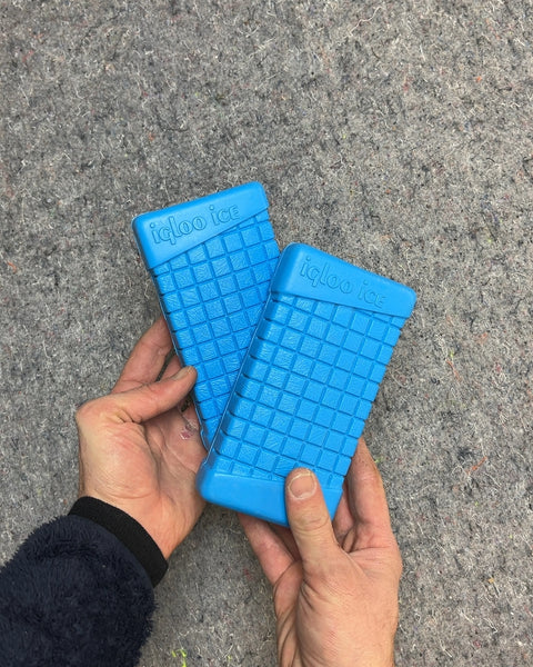 Igloo Ice Block, Set of 2