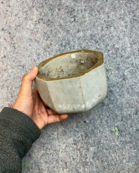 Hex Concrete Planter