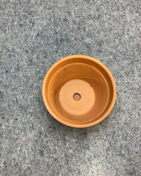 Terracotta Clay Pot with Saucer