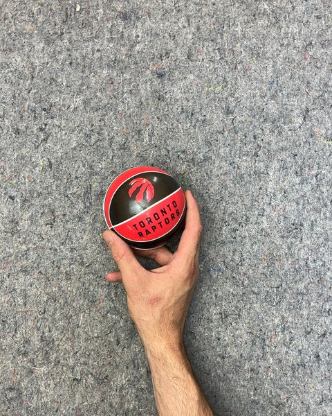 Toronto Raptors Mini Basketball