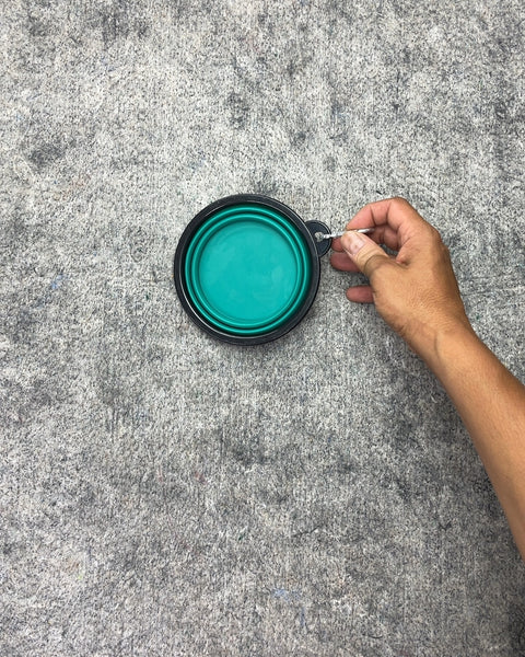 Collapsible Pet Travel Bowl