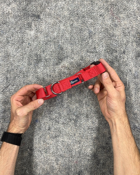Red Nylon Martingale Dog Collar
