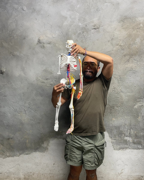 Anatomical Skeleton Model with a Missing Ulna & Radius