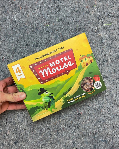 Motel Mouse Humane Mouse Traps, 3 Pack