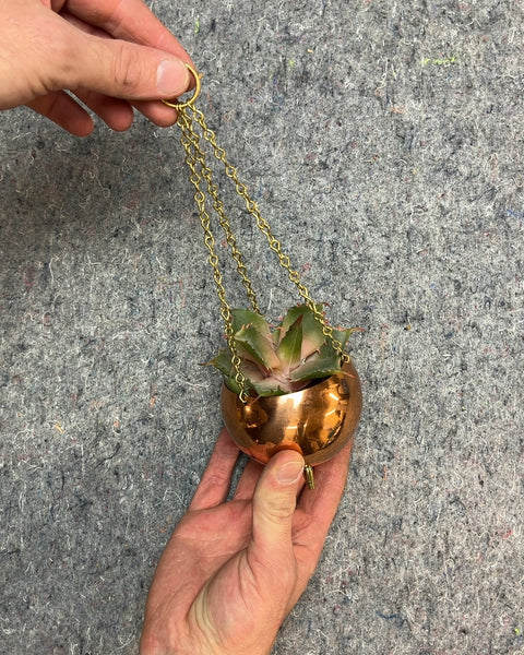 Hanging Planter with Fake Succulent