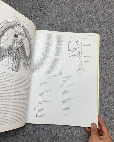 Gray's Anatomy: A Facsimile by Henry Gray F.R.S.