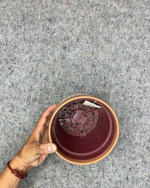 Terracotta Patterned Planter, 6.5 in