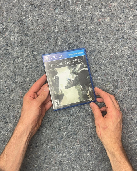 The Last Guardian PS4 Video Game